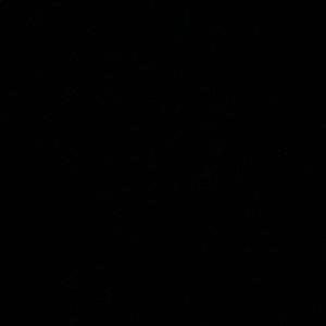 Meet your Posher, Jayden